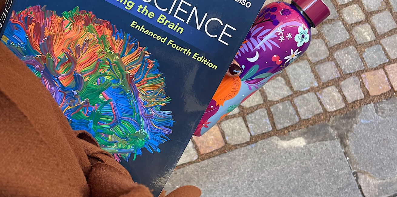 logopedista scienze cognitive