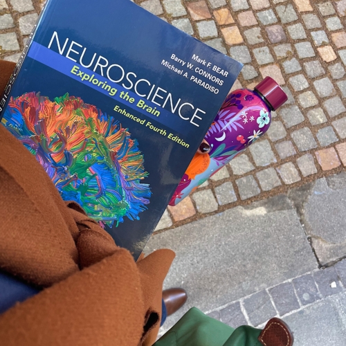 logopedista scienze cognitive
