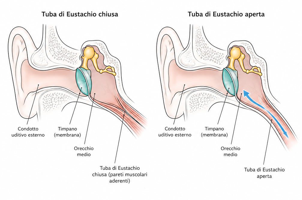 tuba di eustachio